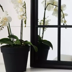 Martinique Curved Mirror 10 Martinique Curved Mirror -Home Furnishing Store 1090093 C