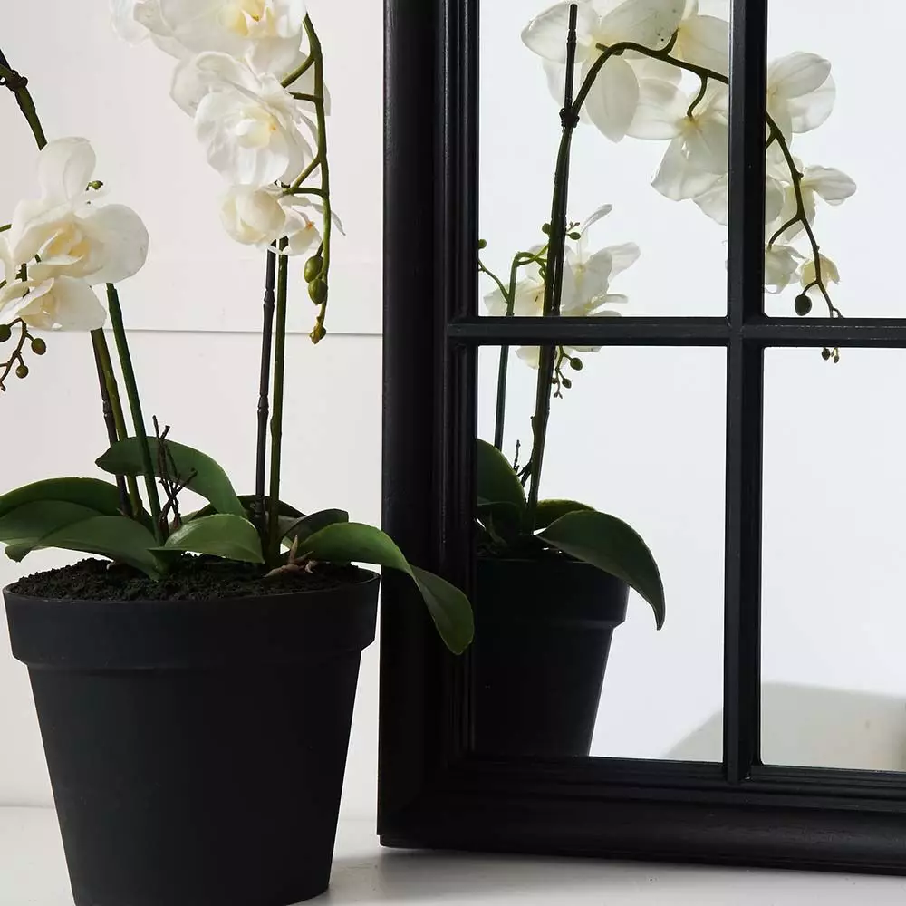 Martinique Curved Mirror 6 Martinique Curved Mirror - Image 4