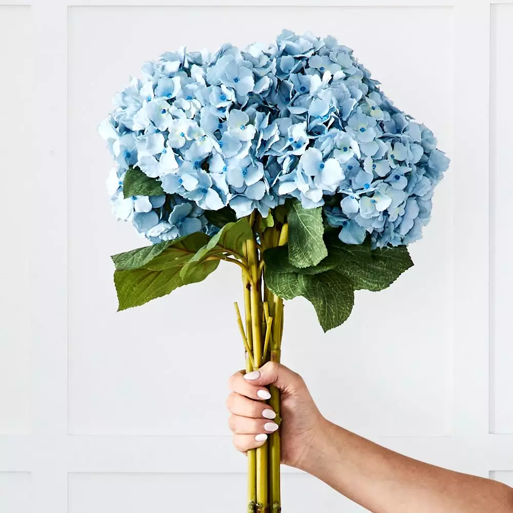 Hydrangea Flower 4 Hydrangea Flower - Image 2