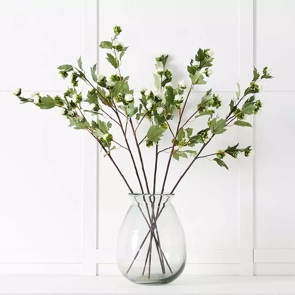 Humulus Stem 5 Humulus Stem - Image 3