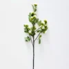 Humulus Stem -Home Furnishing Store 1117256706 aa