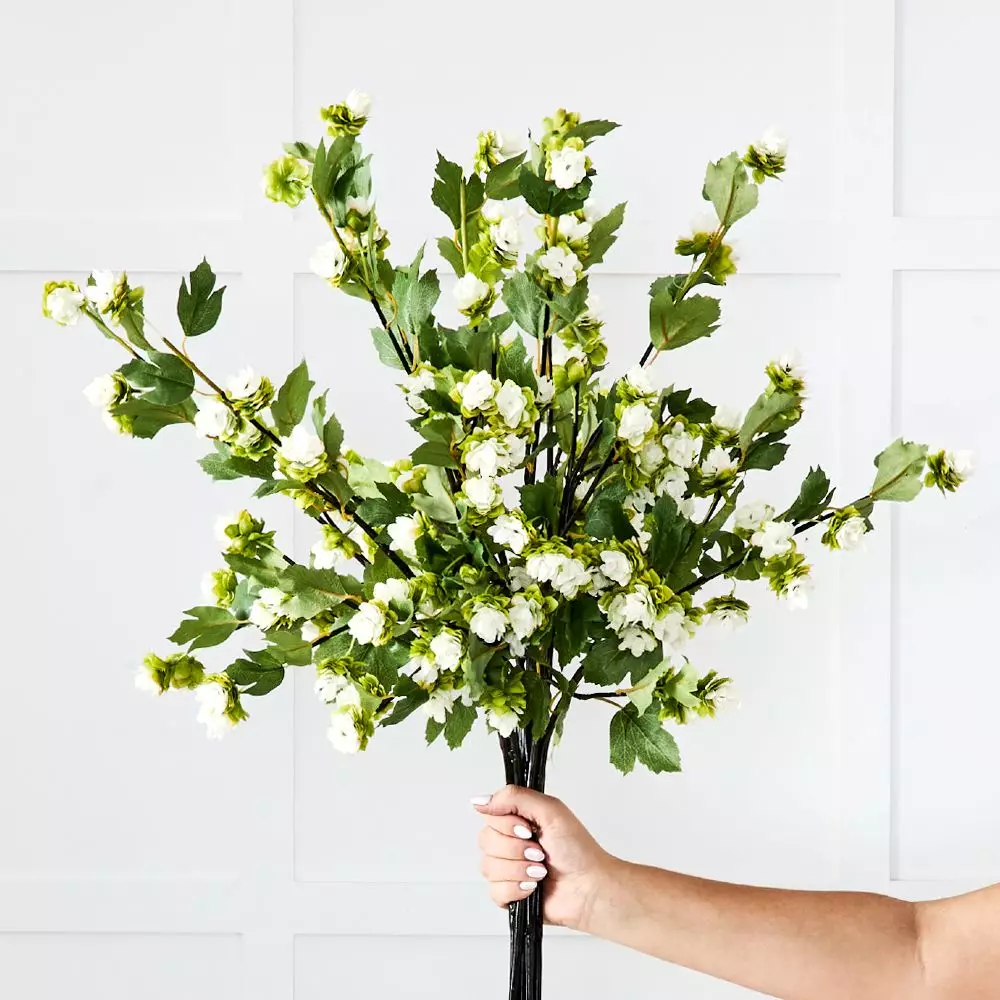 Humulus Stem 4 Humulus Stem - Image 2