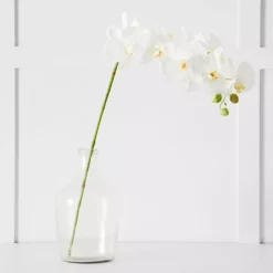 Orchid Stem 8 Orchid Stem -Home Furnishing Store 1117256710 s