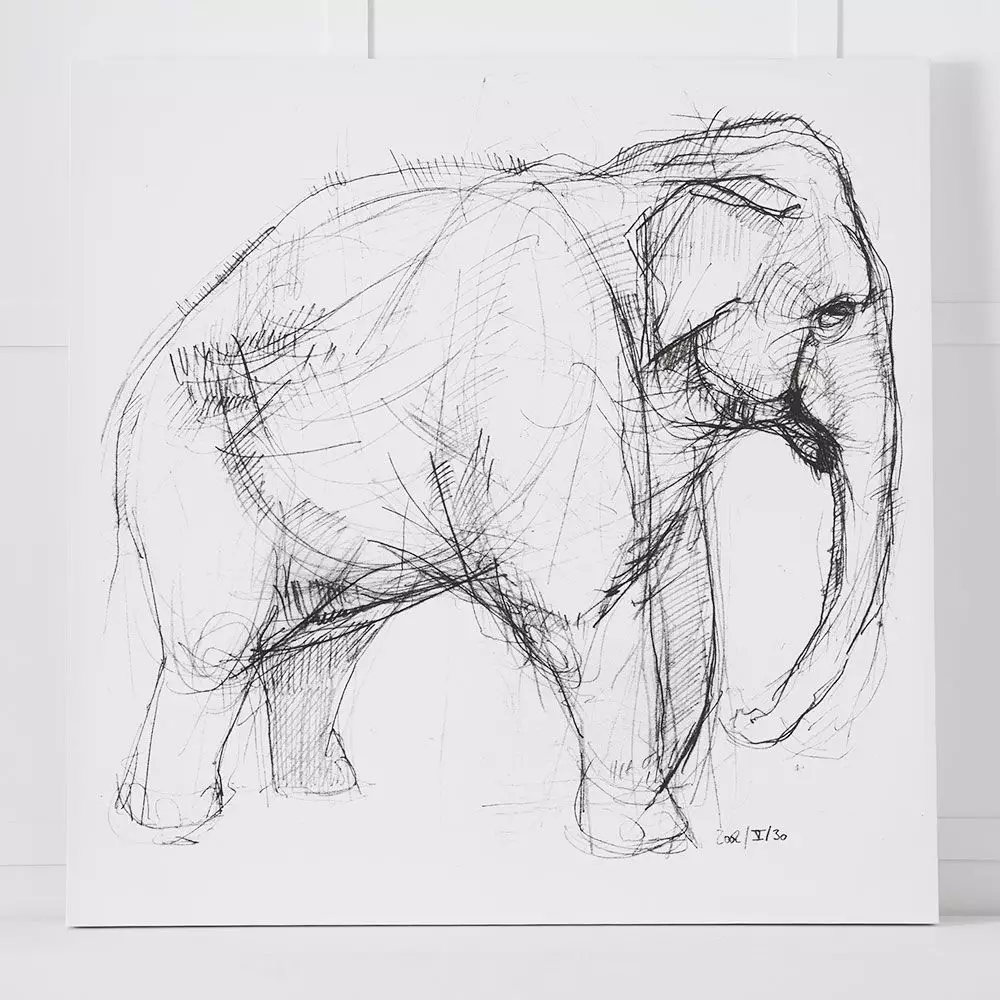 Elephant Canvas 110x110 3 Elephant Canvas 110x110