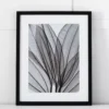 Silver Leaf I Print 42x53 -Home Furnishing Store 1117258753 m