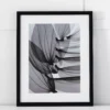 Silver Leaf III Print 42x53 2 Silver Leaf III Print 42x53 -Home Furnishing Store 1117258755 m