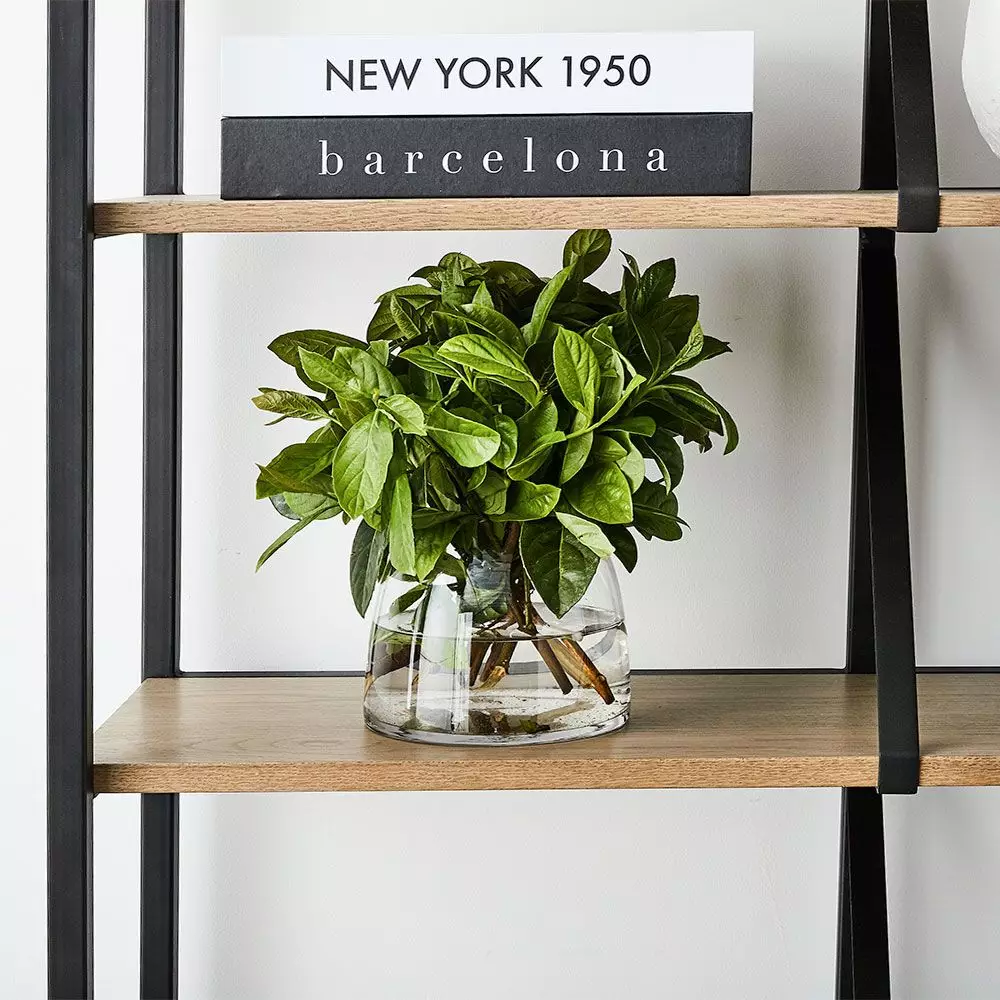 Catalina Shelf 6 Catalina Shelf - Image 4