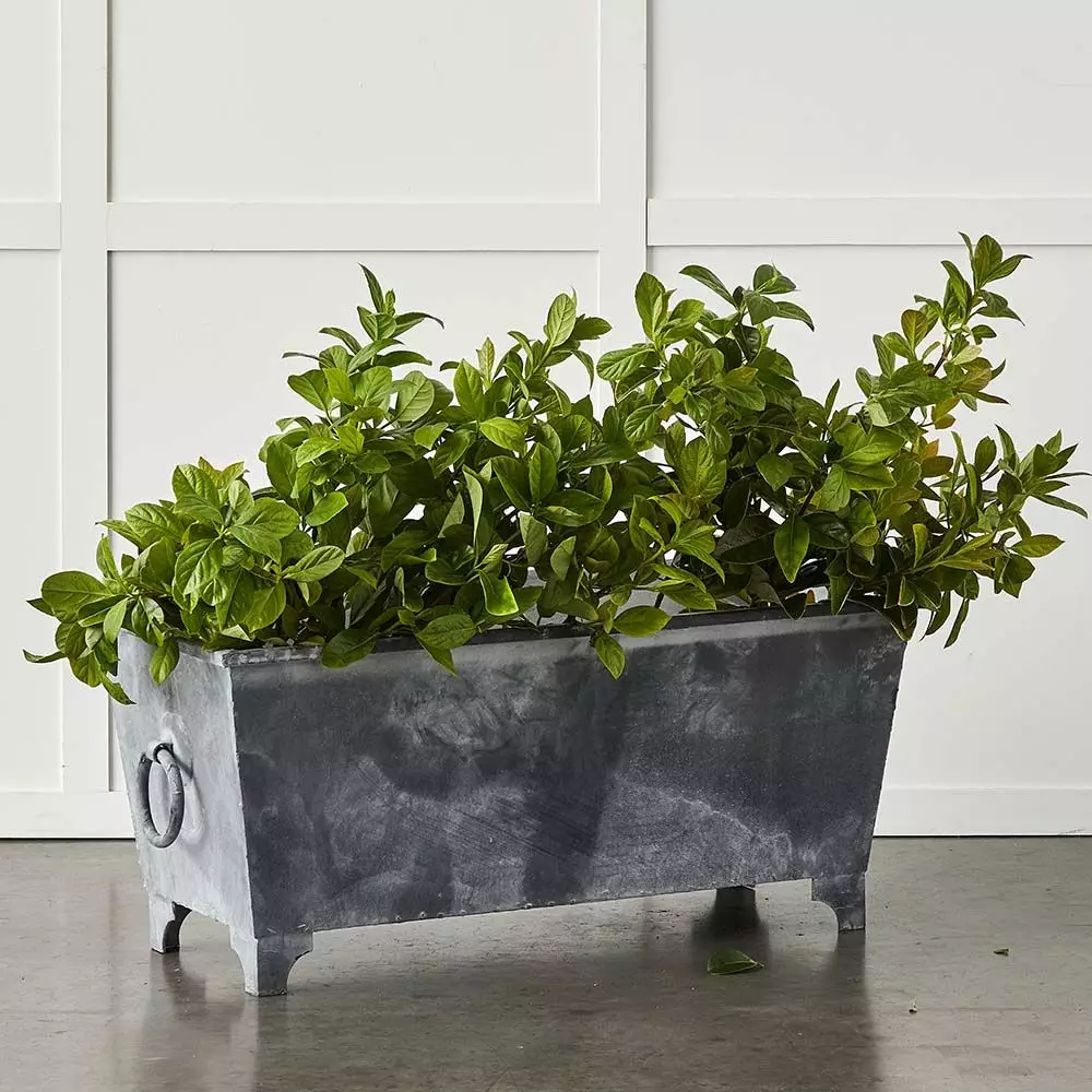 Normandy Trough 3 Normandy Trough