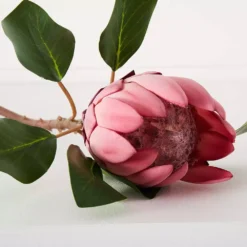 Protea Flower -Home Furnishing Store 1117259914 D