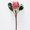 Protea Flower -Home Furnishing Store 1117259914 aa