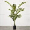 Potted Areca Palm Plant -Home Furnishing Store 1117259930 A