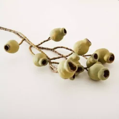 Gumnut Stem 11 Gumnut Stem -Home Furnishing Store 1117260067 C