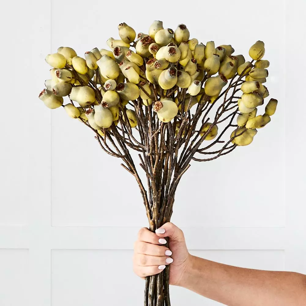 Gumnut Stem 4 Gumnut Stem - Image 2