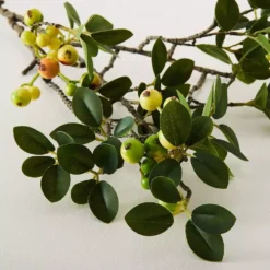 Laurel Berry Stem -Home Furnishing Store 1117260068 C