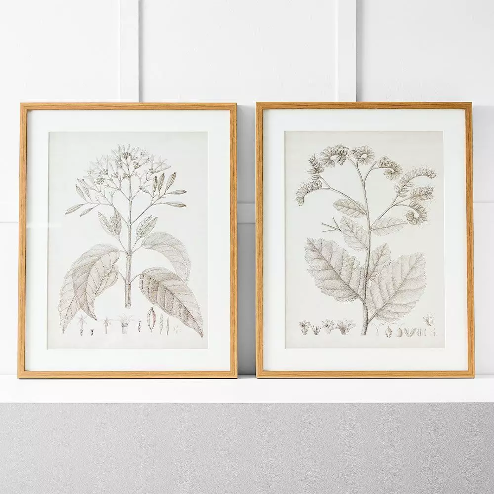 Floreal Print II 60x76 4 Floreal Print II 60x76 - Image 2