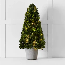 Boxwood Fairy Light Tree 66cm
