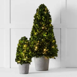 Boxwood Fairy Light Tree 66cm 7 Boxwood Fairy Light Tree 66cm -Home Furnishing Store 1117261353 c