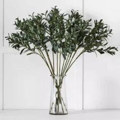 Olive Stem -Home Furnishing Store 1117261463 b